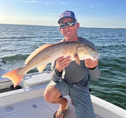 Redfish fishing in Fort Myers, Florida