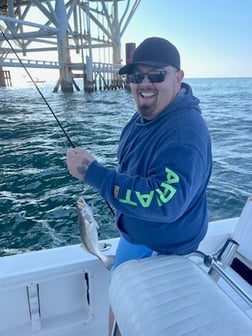 Speckled Trout / Spotted Seatrout Fishing in Gulf Shores, Alabama