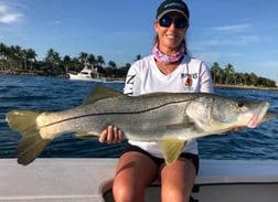 Snook Fishing in Ocean City, Maryland