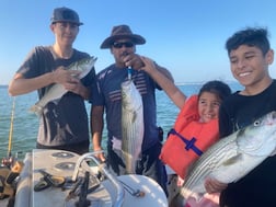 Striped Bass fishing in Pottsboro, Texas