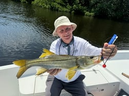 Fishing in St. Petersburg, Florida