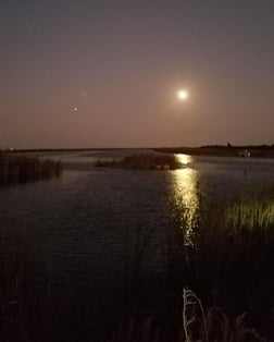 Largemouth Bass Fishing in Fort Lauderdale, Florida