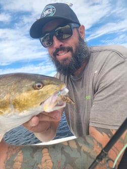 Redfish Fishing in Saint Marks, Florida