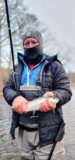 Fishing in Broken Bow, Oklahoma