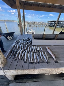 Fishing in Boothville-Venice, Louisiana