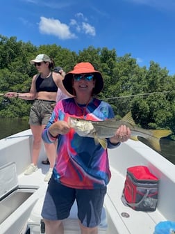 Fishing in Tampa, Florida