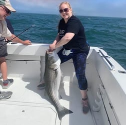 Striped Bass fishing in Montauk, New York