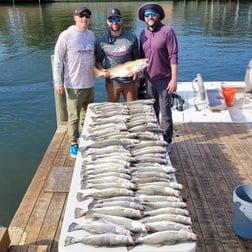 Redfish Fishing in New Orleans, Louisiana