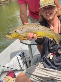 Brown Trout fishing in Roswell, Georgia