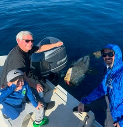 Red Snapper Fishing in Fort Myers, Florida