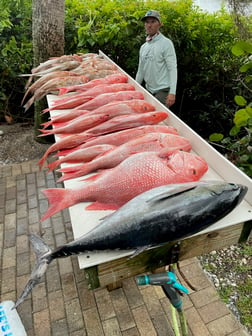 Bluefin Tuna fishing in Sarasota, Florida