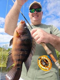 Fishing in Fort Lauderdale, Florida