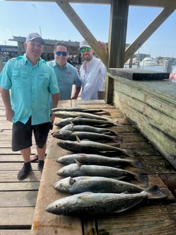 Speckled Trout Fishing in Galveston, Texas