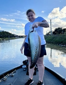 Clown Knifefish Fishing in Boca Raton, Florida