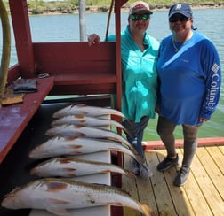 Black Drum fishing in South Padre Island, Texas