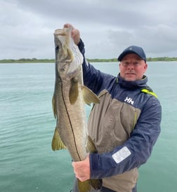 Snook fishing in Jupiter, Florida