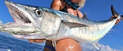 Red Snapper Fishing in Clearwater, Florida