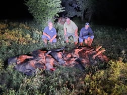 Hog Hunting in Bowie, Texas