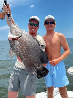 Tripletail Fishing in Galveston, Texas