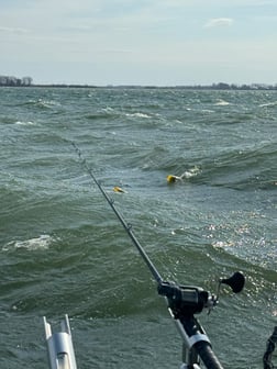 Fishing in Sheffield Lake, Ohio