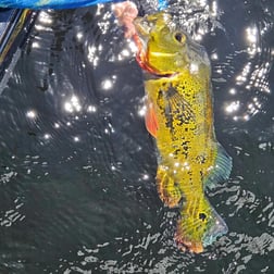 Fishing in Fort Lauderdale, Florida