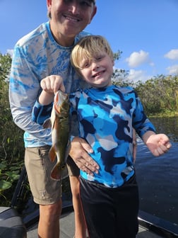 Largemouth Bass Fishing in Fort Lauderdale, Florida