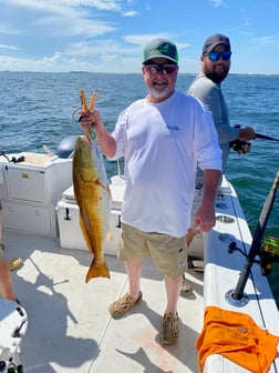 Redfish Fishing in Pensacola, Florida