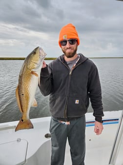 Redfish, Sheepshead, Speckled Trout / Spotted Seatrout Fishing in Yscloskey, Louisiana