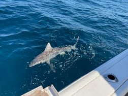 Fishing in Charleston, South Carolina