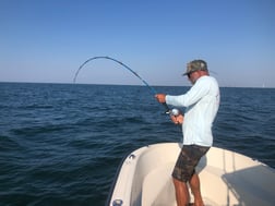 Tarpon fishing in Galveston, Texas