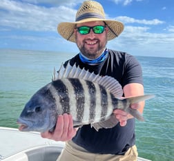 Sheepshead Fishing in Port Orange, Florida