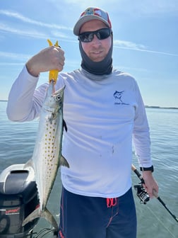 Redfish Fishing in Clearwater, Florida