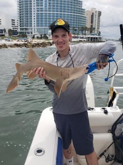 Fishing in Clearwater, Florida