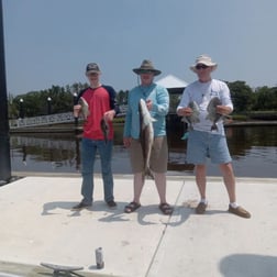 Black Seabass, Cobia Fishing in St. Marys, Georgia