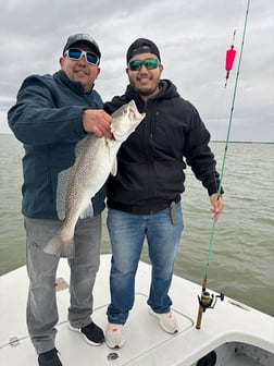 Fishing in South Padre Island, Texas