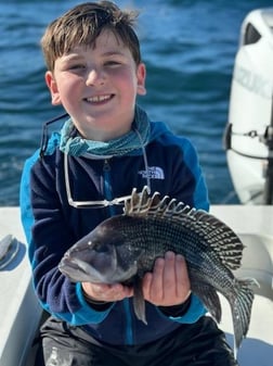 Red Snapper, Triggerfish Fishing in Jacksonville, Florida