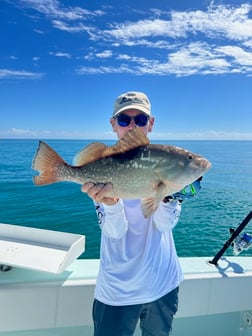 Mutton Snapper Fishing in Key Largo, Florida