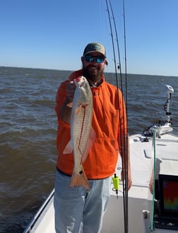 Red Snapper Fishing in Santa Rosa Beach, Florida