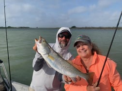 Speckled Trout Fishing in Ingleside, Texas