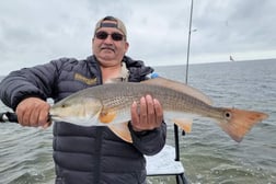 Redfish Fishing in South Padre Island, Texas