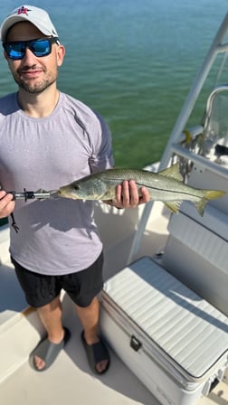 Speckled Trout Fishing in Sarasota, Florida