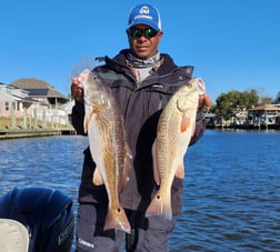 Largemouth Bass Fishing in New Orleans, Louisiana