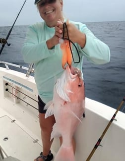 Red Grouper fishing in Clearwater, Florida