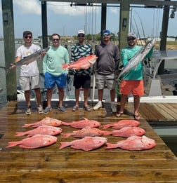 Blackfin Tuna, Red Snapper Fishing in Freeport, Texas