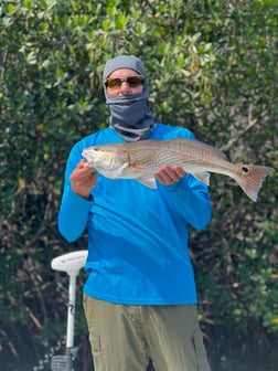 Snook Fishing in Tampa, Florida