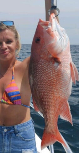 Gag Grouper Fishing in Clearwater, Florida