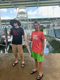 Blacktip Shark Fishing in Galveston, Texas