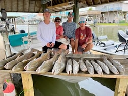 Speckled Trout / Spotted Seatrout fishing in Galveston, Texas