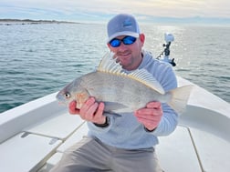 Black Drum Fishing in Beaufort, North Carolina