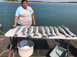 Striped Bass fishing in Burnet, Texas